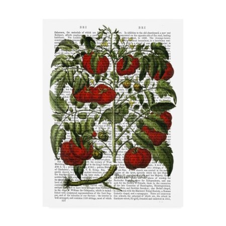 Fab Funky 'Tomato Plant' Canvas Art,24x32